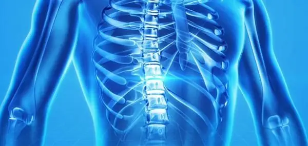 Indikationen::Ganzheitliche Therapie osteopathie kiel indikationen